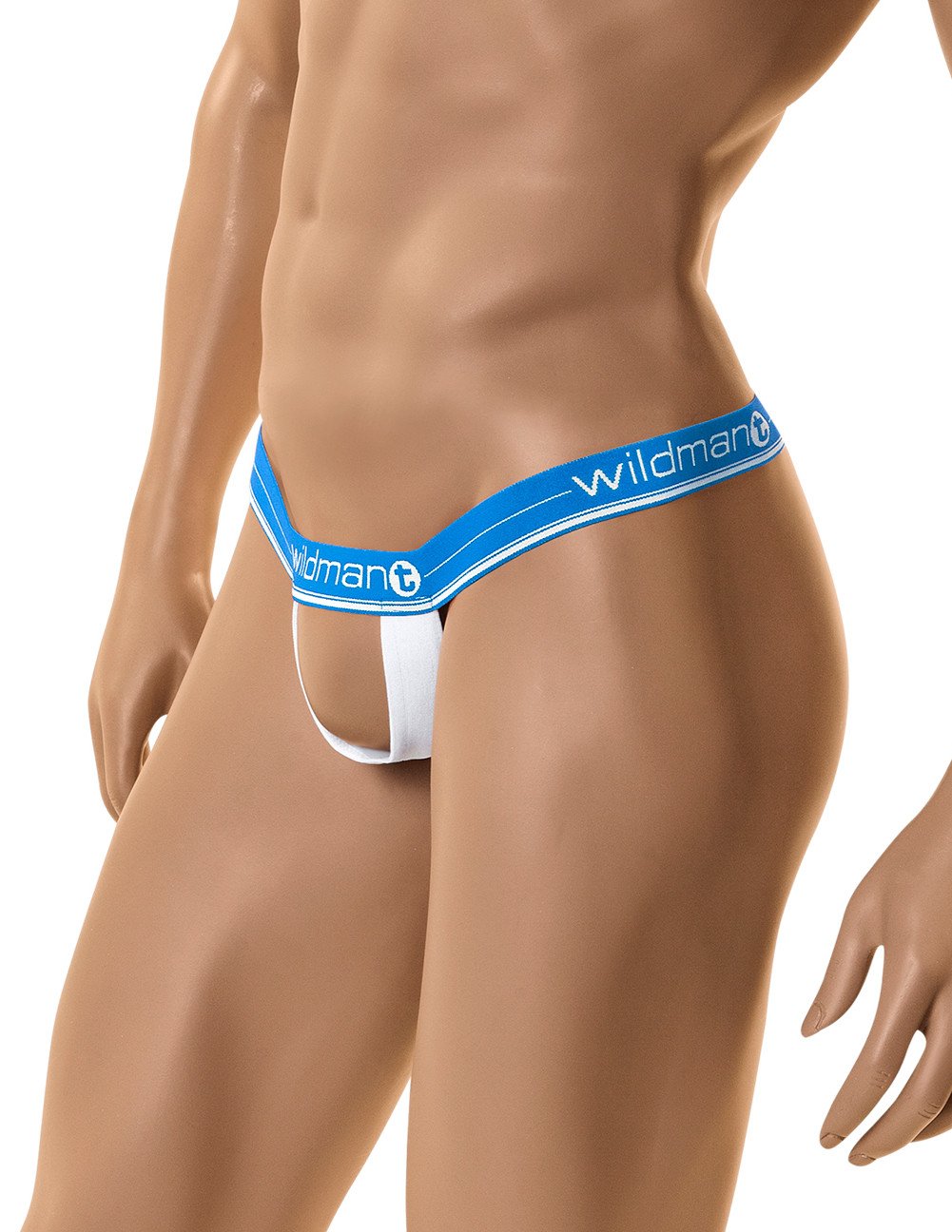 Blue Wildmant The Ball Lifter® by Wildman T, a durable ball lifting device designed for sports and fitness use.